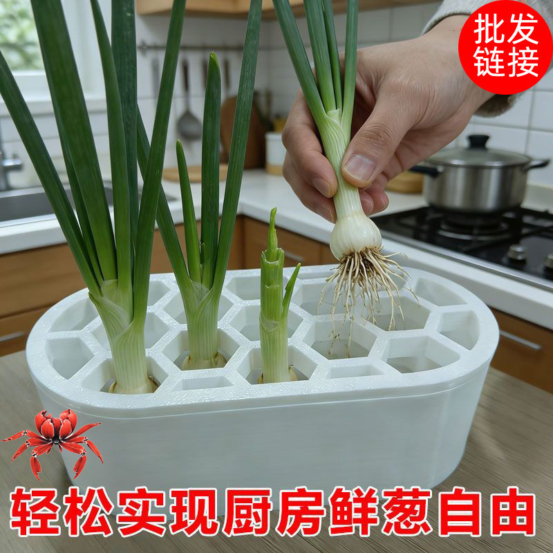 Hydroponic vegetable growing box for scallions, garlic, lettuce, recycled hydroponic box for home balcony, pollution-free hydroponic container basket Hydroponic vegetable growing box for scallions, garlic, lettuce, recycled hydroponic box for home balcony, pollution-free hydroponic container basket