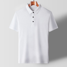 ��ʿ�ٸɶ���ְ��b������2025�¿��ļ����zT���Ќ��ɰ���POLO��