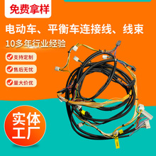 厂家生产电动车 平衡车连接线电子连接线束汽车配件线束批发定 制