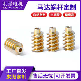 批发电机齿 精密小模数 铜涡轮涡杆 马达齿 非标定 制电机齿轮