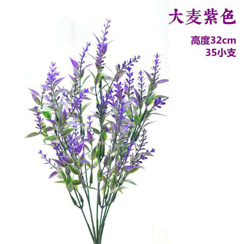 보라색 밀