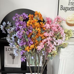 ��ޱ����c���滨����d�������廨�����̈�����ٻ��쾰ܛ�b��ˇ