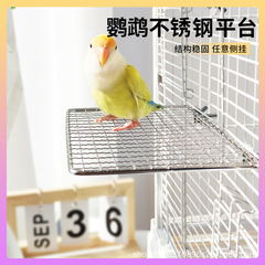 オウムのステンレスのネットのプラットホームの棚の玄鳳の牡丹は休みます。
