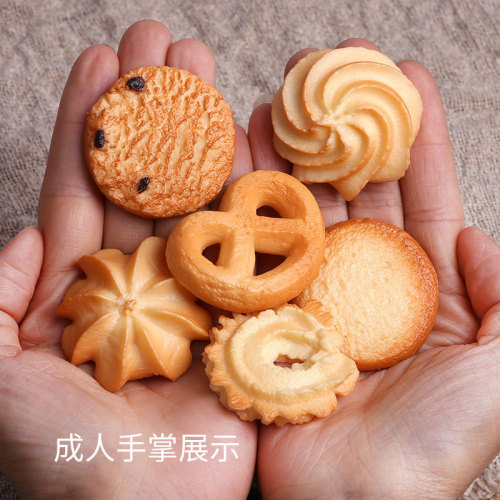 1:1 simulated cookie biscuit model pvc three-dimensional biscuit creative children's food toy photography props factory direct sales