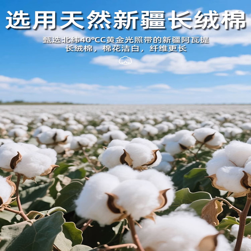 Algodón puro dormitorio universitario cama de tres piezas algodón 2025 verano nuevo estilo funda edredón sábana ropa de cama sábana ropa de cama