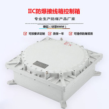 防爆接線箱IIC級接線端子箱儀表控制開關操作檢修箱防爆配電箱