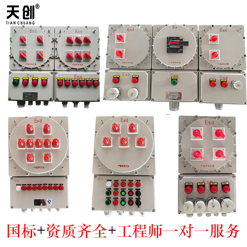 BXM(D)53 防爆配电箱 防爆照明动力配电箱 防爆箱 IIC级