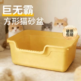 猫猫零食;猫猫玩具;猫猫窝/笼/垫
