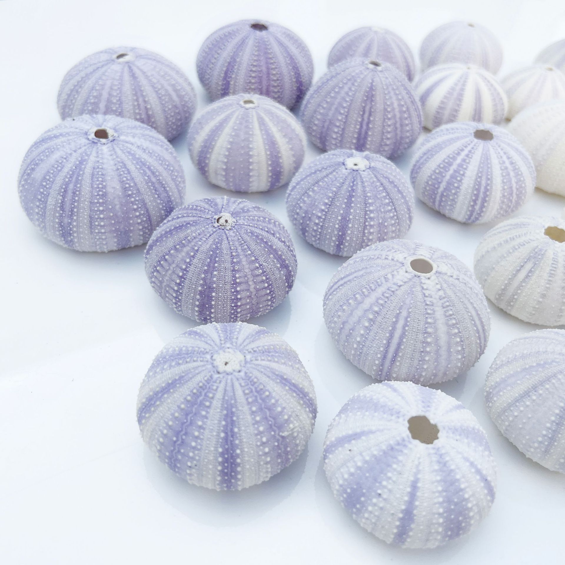 微信图片_20241205145447