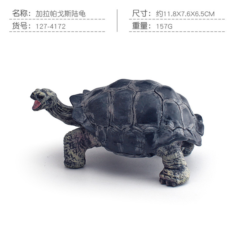 Simulación tortuga sólida Galápagos elefante tortuga juguetes marino mundo tortuga modelo de animal amazona
