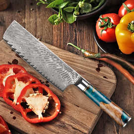 跨境大马士革钢刀vg10厨师刀家用水果刀厨房切片小菜刀女士刀具