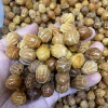 The price of Buddha hand is about 18mm