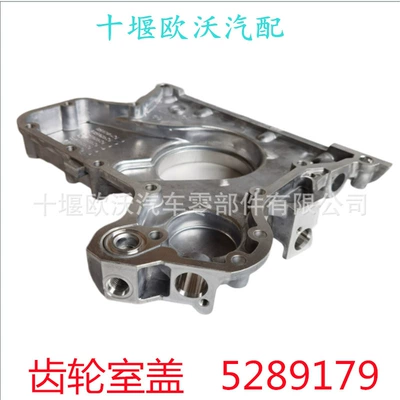Chamber Cover 5289179 Front – Flywheel/Gear