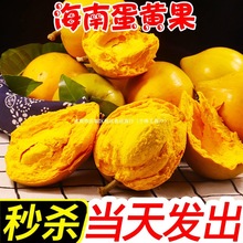 �߶˵��S�����r5�ﺣ�ϟᎧˮ���u��������خa���������������l