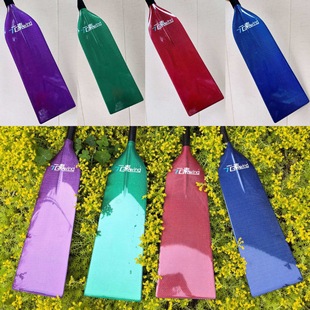 ��̼�w�S����һ�w���y����׼�������ۘ���������̼�w�SԪ�ؘ���