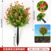 Red camellia eucalyptus ground nail