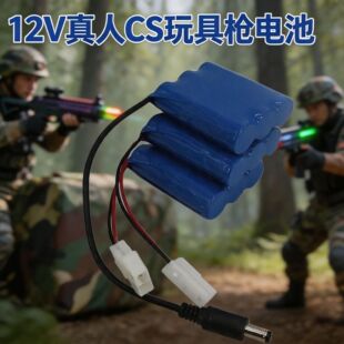 12V����CS��ߘ�늳ؽM�m�óؑ�/�P��/�϶�/㑐a����CS�b���늳�