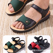 2026�ļ��¿�Ůʿ��Ь�r�мҾ�ԡ����Q����Ů����Ь��ĥ��ЬŮʿ