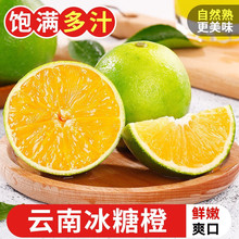 雲南冰糖橙當季甜橙子新鮮水果應季冰糖橙橙子孕婦橙整箱產地直發