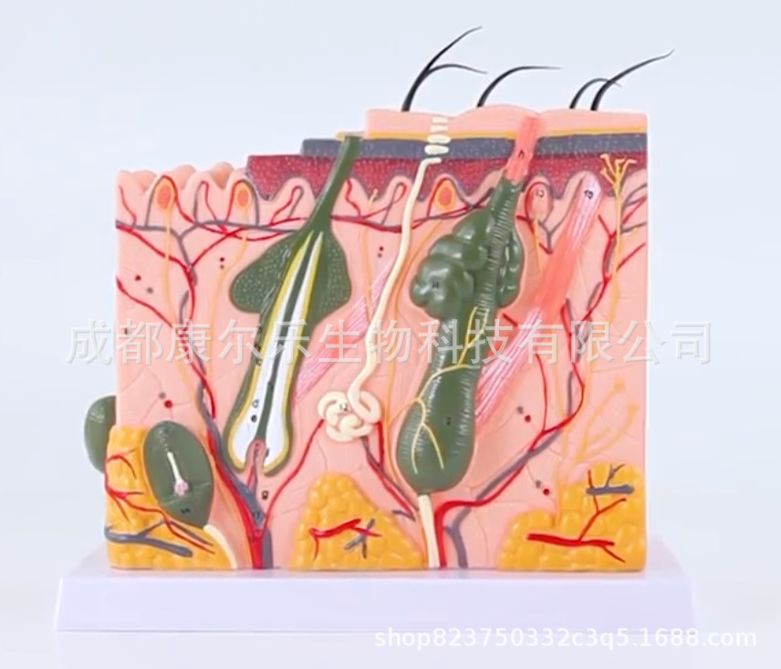 微信图片_20220804162630