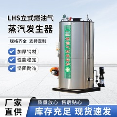 立式燃油气蒸汽发生器全自动供暖柴油天然气烘干食品自动控制锅炉