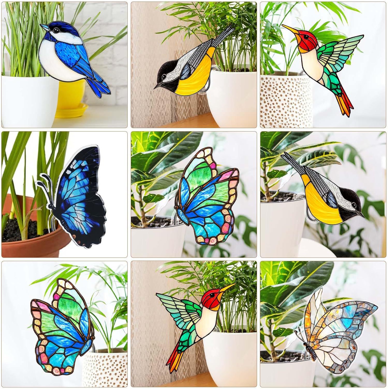 Colgante 2 piezas de protector de maceta acrílica, adorable animal pájaro mariposa ranas adecuadas para colgar maceta