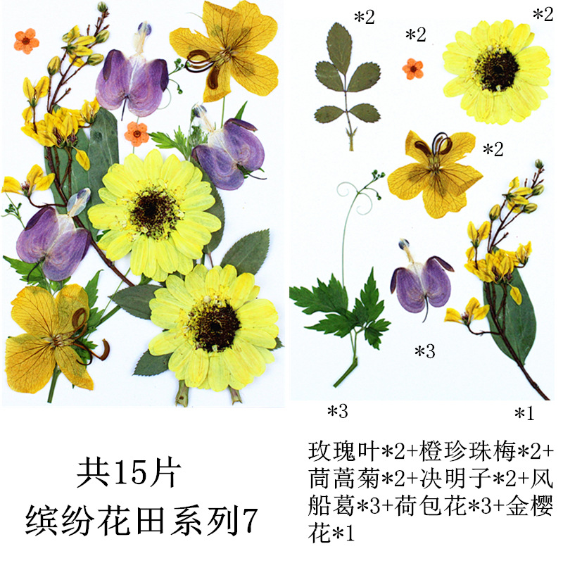 다채로운 꽃 밭 조합 7