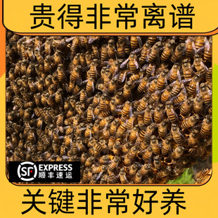 �V���۷��Ⱥ�����з�ȺȺ�۷����a���B�����䎧��Ƣ����S�]��