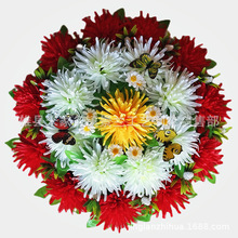 50����ջ�С��Ȧ ˮ���� ���w�� ��̺ ��Ȧ �ǻҺ� �Ț�����Ʒ