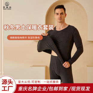 ��ʿ����ëɣ�Q�z��ů�������b������ѝ�����Ůʿ���b��ů�����l