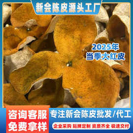 广东新会当季茶枝柑2025年茶坑驳枝冬后大红皮个人储存生晒新陈皮