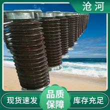 户外陶瓷棒支柱绝缘子ZSW- ZSW2-220/16K-3棒瓷支柱器材