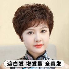 �����ٷ���ȫ�淢�̾����ڰ���������ͷ��������ȫͷ�׳�������
