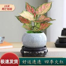 ����ʺ����f��tˮ��Gֲ���k���҃�ˮ�B�G�}�j�������Ժ��B