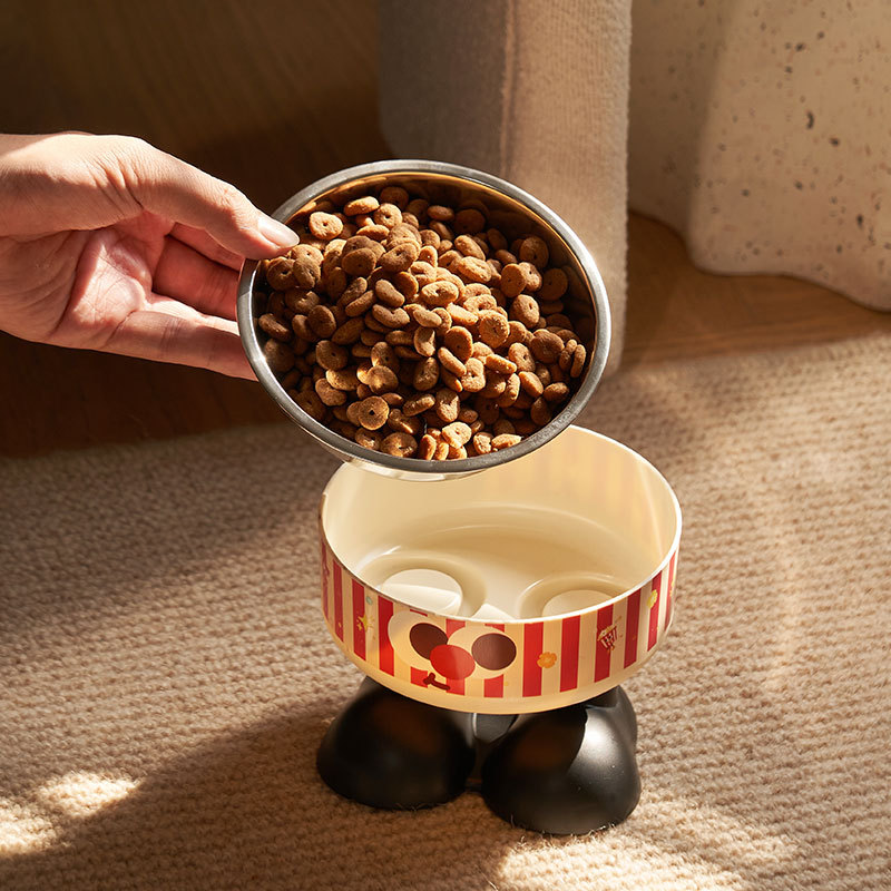 Tazón para gatos personalizado para mascotas Tazón para gatos