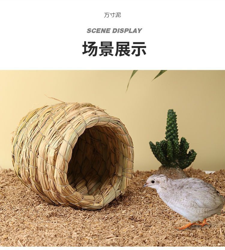 08412bf0-7c27-40e5-a9fb-e3fe5e1e5b00.jpe