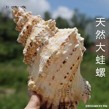 ��Ȼ���ݴ��ݲ����~���쾰�[�����]��ݴ�����ɺ���b�Ʒ