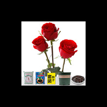 õ廨NļN׷N_Nֲ̨҃ԻܷN