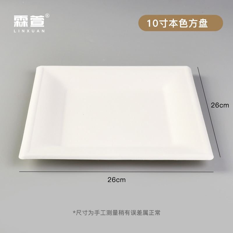 10 인치 흰색 사각형 플레이트