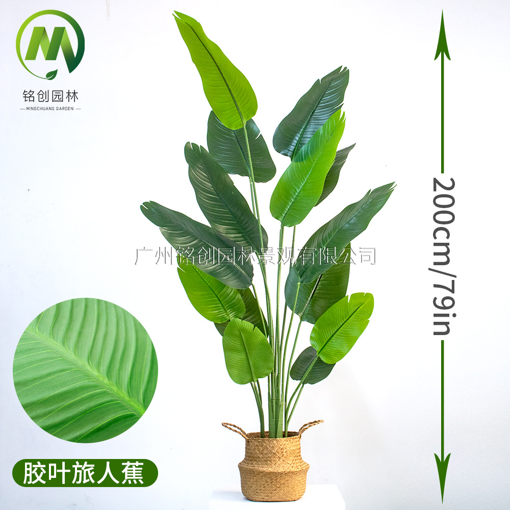 Árbol de simulación transfronterizo, plátano viajero, planta en maceta, nueva planta de simulación, pájaro del paraíso, planta verde de simulación de hoja grande, plátano viajero