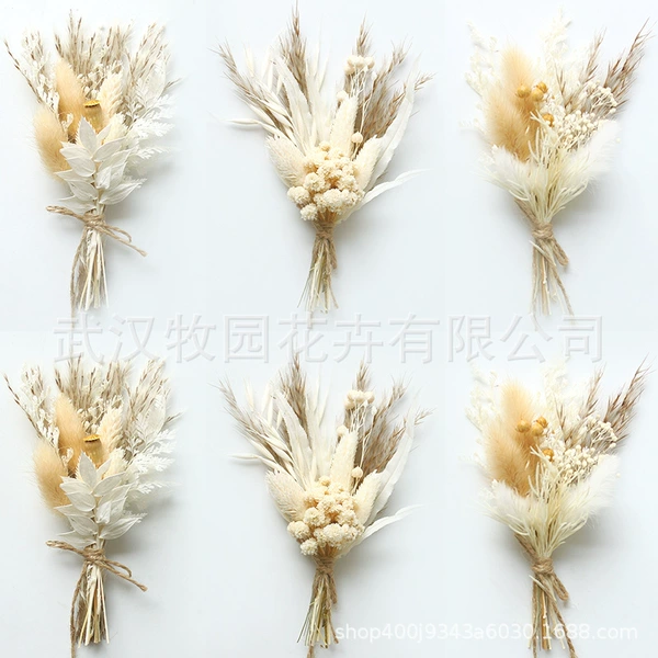 [DH6-301六束飞机盒装]