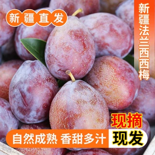 新疆西梅新鲜水果法兰西小西梅孕妇新鲜水果当季现摘脆甜西梅李子