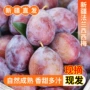 新疆法兰西新鲜孕妇西梅