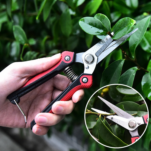 Stainless steel pruning shears, flower potted garden tools, branch grafting scissors, fruit picking spring fruit tree shears