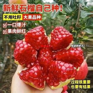 �ش������Թ�����ͻ��˹�o��ʯ���������ʯ��ܛ���玧���Ϙ�ͥԺ