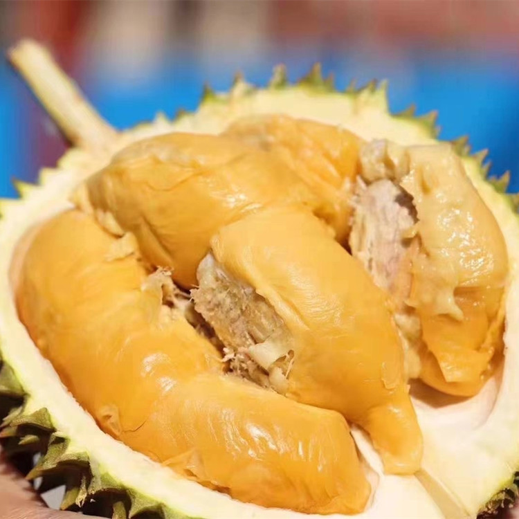Thailand Manny Durian Entire fresh Sanno Durian One wholesale Durian fruit
