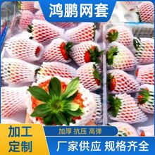 ��ݮ�W�����˙��ʰ�����Ӻ���ĭ���b�W�׷�����������o