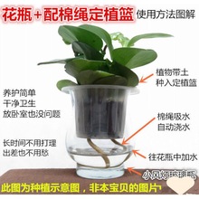 水培定植篮固根器方形玻璃方缸植物花瓶透明花盆杯批发代发速卖通