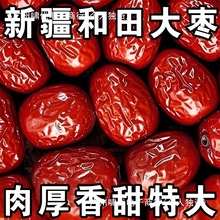 �½������2��t���E���L�����خa��؛�Ҝ����e��ʳ���l����