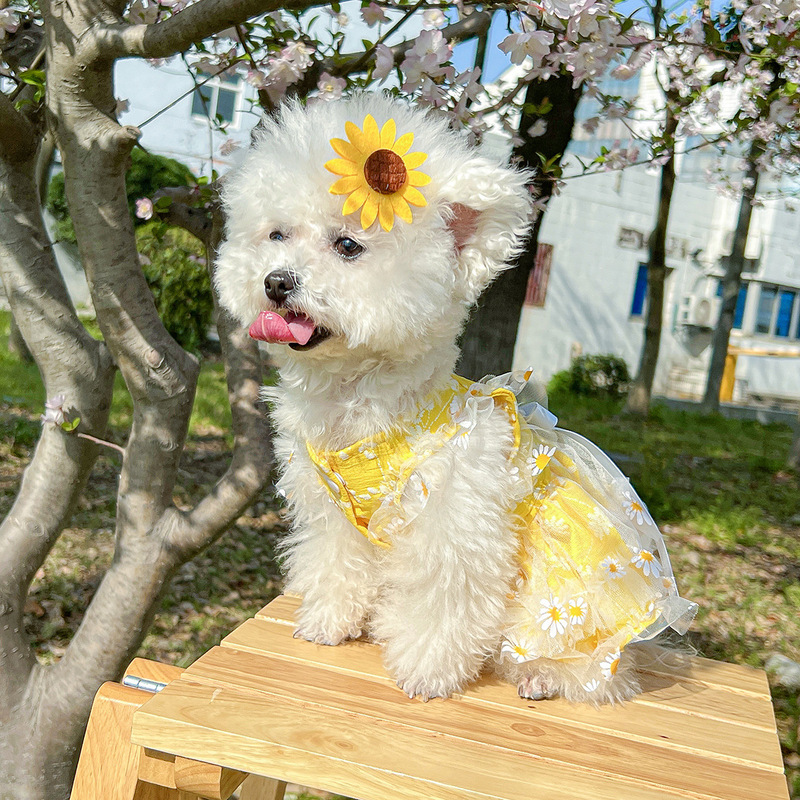 スポットクロスボーダー人気ペット子犬猫服ソース工場直販春夏デイジーフラワーサスペンダースカート|undefined
